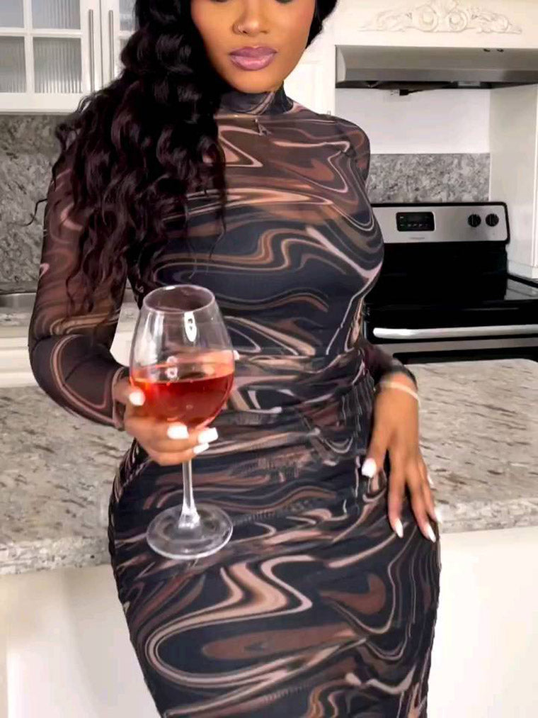 Mesh Printed Long Sleeve Midi Dress