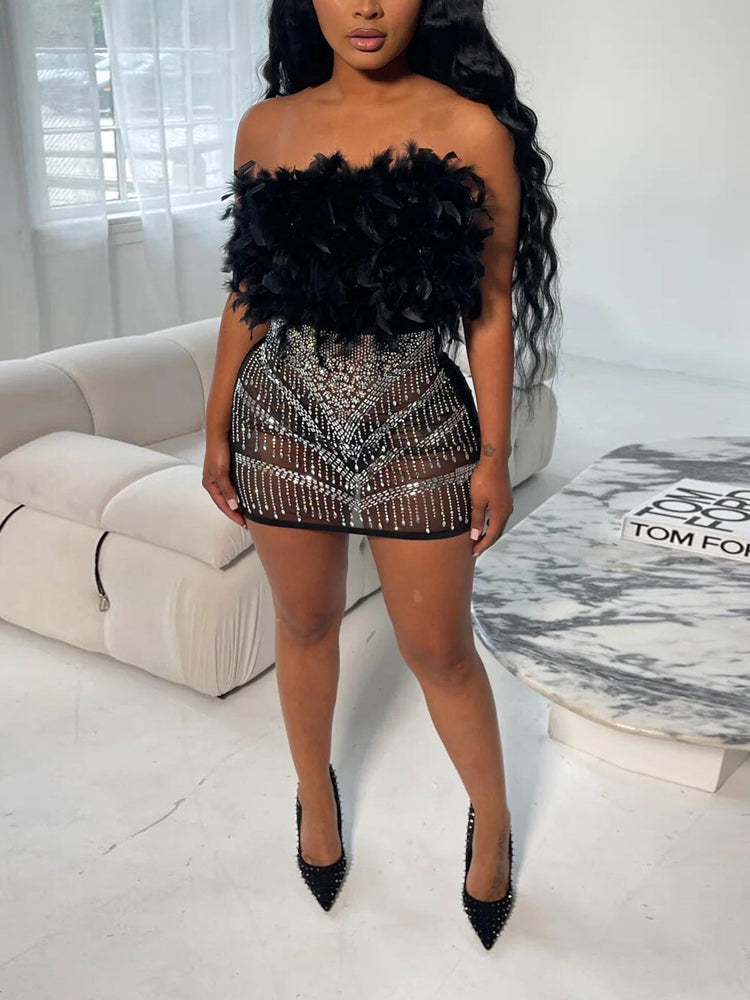 Rhinestone Feather Mesh Dress