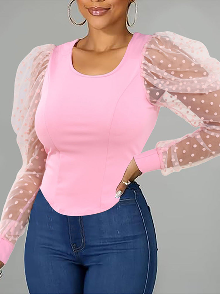 Puff Mesh Sleeve Elegant Top