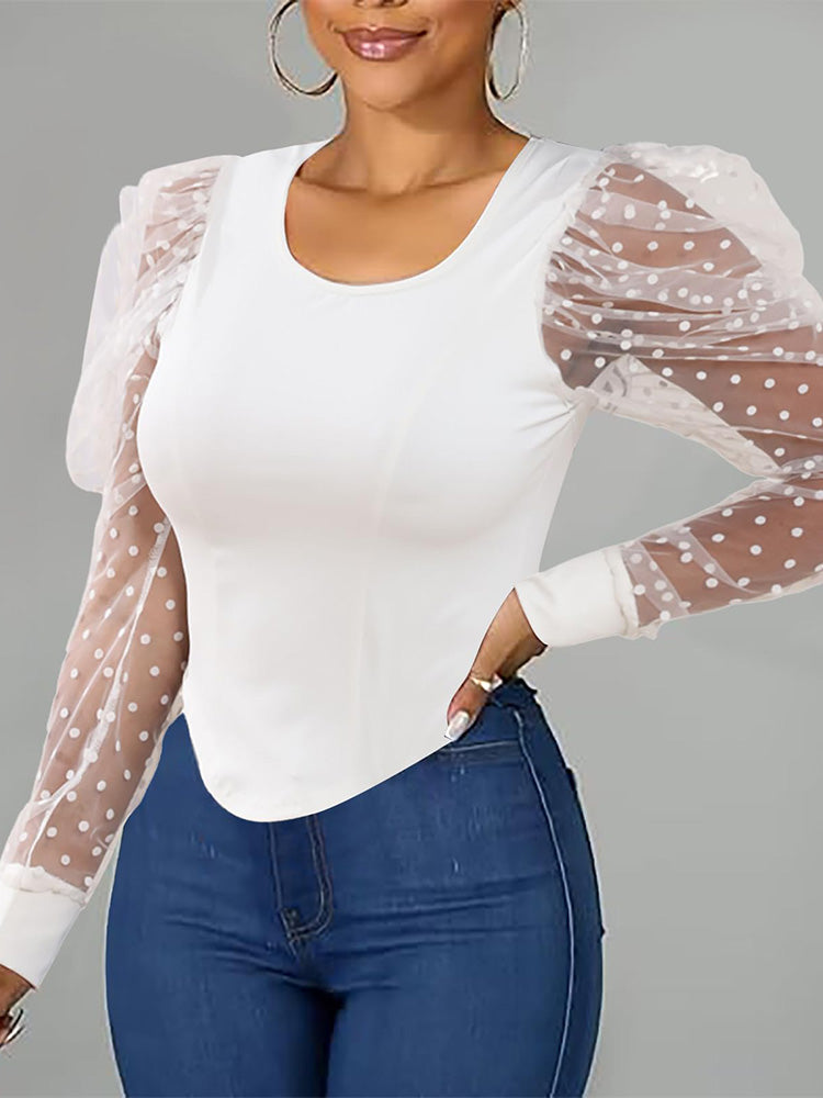 Puff Mesh Sleeve Elegant Top